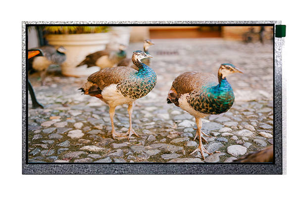 IPS顯示屏 IPS顯示屏