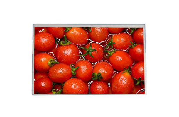 8 寸液晶顯示屏的價值與趨勢：從核心參數(shù)到行業(yè)應(yīng)用的全面解析