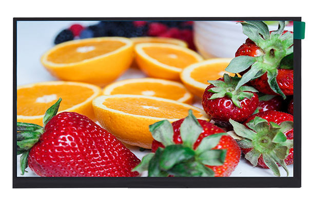 10.1寸液晶屏 10.1寸液晶屏