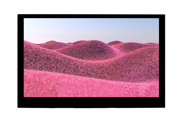 小身材如何擁有大智慧？揭秘4.5寸LCD顯示屏的獨(dú)特魅力